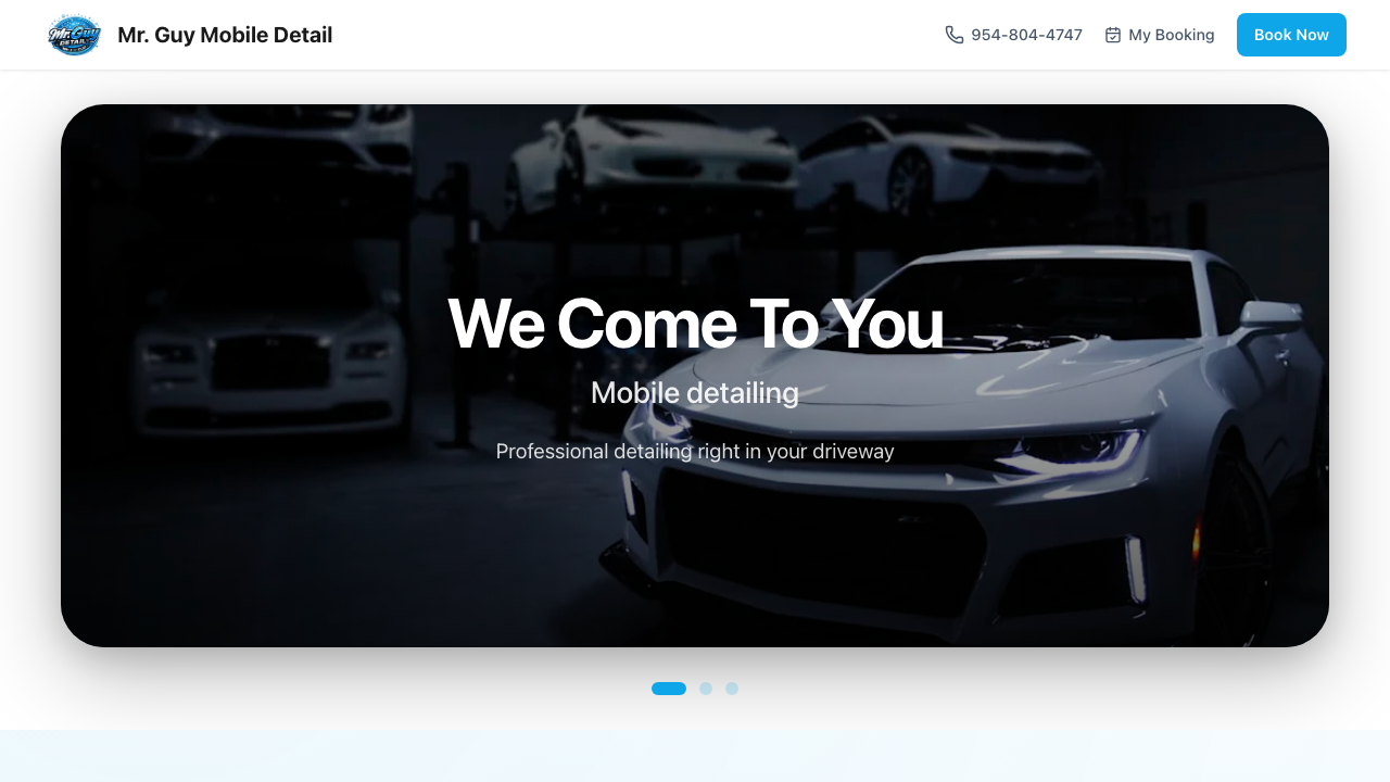 Mr. Guy Mobile Detail